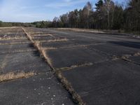 a parking lot with multiple rows of dried grass on one side and the ground with sparse patches of dirt in front of some trees