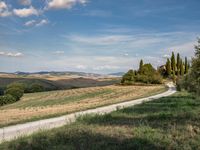 Rural landscape road in Tuscany, Italy