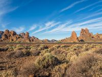 a desert with some bushes and rocks against a blue sky with some white clouds above