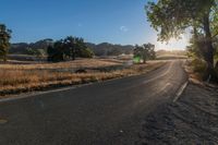 an empty country road with sun shining on the side and trees in front of it