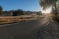 an empty country road with sun shining on the side and trees in front of it