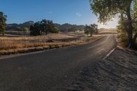 an empty country road with sun shining on the side and trees in front of it