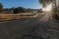 an empty country road with sun shining on the side and trees in front of it