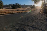 an empty country road with sun shining on the side and trees in front of it