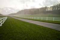 Rural Landscape in Tennessee: Tranquil Scene in Jefferson City