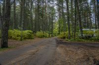 a man rides a bike down a dirt road in the forest while some people stand nearby