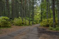 a man rides a bike down a dirt road in the forest while some people stand nearby