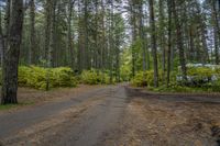 a man rides a bike down a dirt road in the forest while some people stand nearby