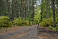 a man rides a bike down a dirt road in the forest while some people stand nearby