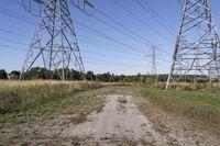 Rural Landscape in Toronto, Ontario: A Glimpse of Nature