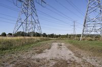 Rural Landscape in Toronto, Ontario: A Glimpse of Nature