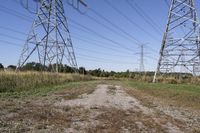 Rural Landscape in Toronto, Ontario: A Glimpse of Nature