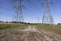 Rural Landscape in Toronto, Ontario: A Glimpse of Nature