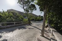 Rural Landscape: Tree and Walkway in Mexico