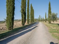 Rural Landscape of Tuscany: A Beautiful Day in Italy