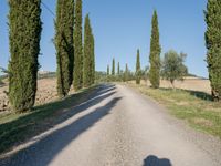 Rural Landscape of Tuscany: A Beautiful Day in Italy