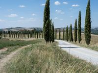 Rural Landscape of Tuscany, Italy