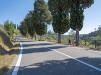 an empty paved road is between two tall trees and a fenced off sidewalk overlooking hills