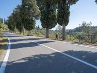 an empty paved road is between two tall trees and a fenced off sidewalk overlooking hills