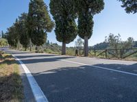 an empty paved road is between two tall trees and a fenced off sidewalk overlooking hills