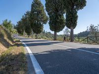 an empty paved road is between two tall trees and a fenced off sidewalk overlooking hills