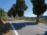 an empty paved road is between two tall trees and a fenced off sidewalk overlooking hills