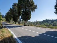 an empty paved road is between two tall trees and a fenced off sidewalk overlooking hills