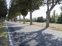 Rural Landscape in Tuscany, Italy: Tree-Lined Road 001