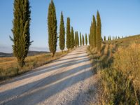 Rural Landscape in Tuscany: Road and Dirt