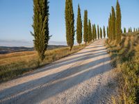 Rural Landscape in Tuscany: Road and Dirt
