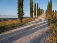 Rural Landscape in Tuscany: Road and Dirt