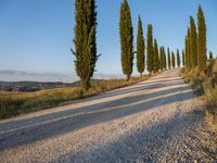 Rural Landscape in Tuscany: Road and Dirt