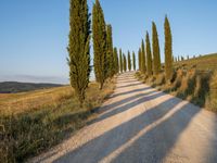 Rural Landscape in Tuscany: Road and Dirt