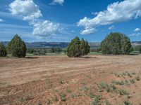 Rural Landscape in the USA: Off-Road Track