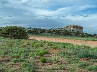 Rural Landscape in Utah: Clear Sky and Off-Road Track