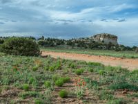 Rural Landscape in Utah: Clear Sky and Off-Road Track