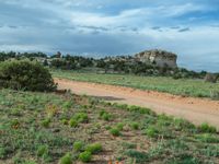 Rural Landscape in Utah: Clear Sky and Off-Road Track