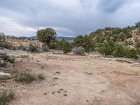 a dirt road and green shrubbery on a cloudy day with mountains in the distance