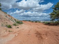 Rural Landscape in Utah: A Straight Dirt Road