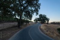 Scenic Rural Landscape with Vegetation and Clear Sky