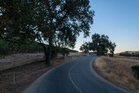 Scenic Rural Landscape with Vegetation and Clear Sky