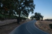 Scenic Rural Landscape with Vegetation and Clear Sky