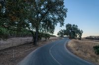 Scenic Rural Landscape with Vegetation and Clear Sky