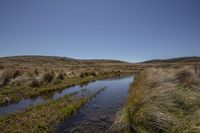 some water in a small stream with grasses and mountains in the background and a blue sky