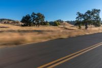 a person riding a bike on the street near trees on either side of the road