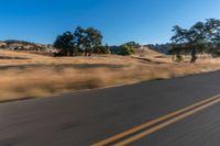 a person riding a bike on the street near trees on either side of the road