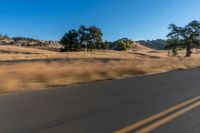 a person riding a bike on the street near trees on either side of the road