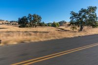 a person riding a bike on the street near trees on either side of the road