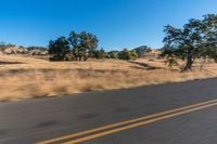 a person riding a bike on the street near trees on either side of the road