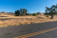 a person riding a bike on the street near trees on either side of the road